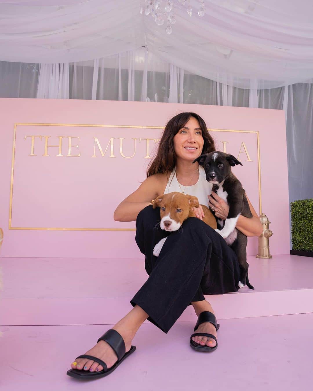 JEN ATKINさんのインスタグラム写真 - (JEN ATKINInstagram)「is throwing a Mutt Gala technically a tax write off if OUAI has dog shampoo? 🤔🐾 LMK 📸 @mrb.creative. PS- the dogs in my lap are rescues from @wagsandwalks pit golden mixes !」6月19日 3時57分 - jenatkinhair