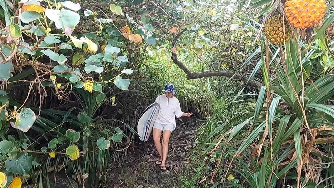 田中律子のインスタグラム
