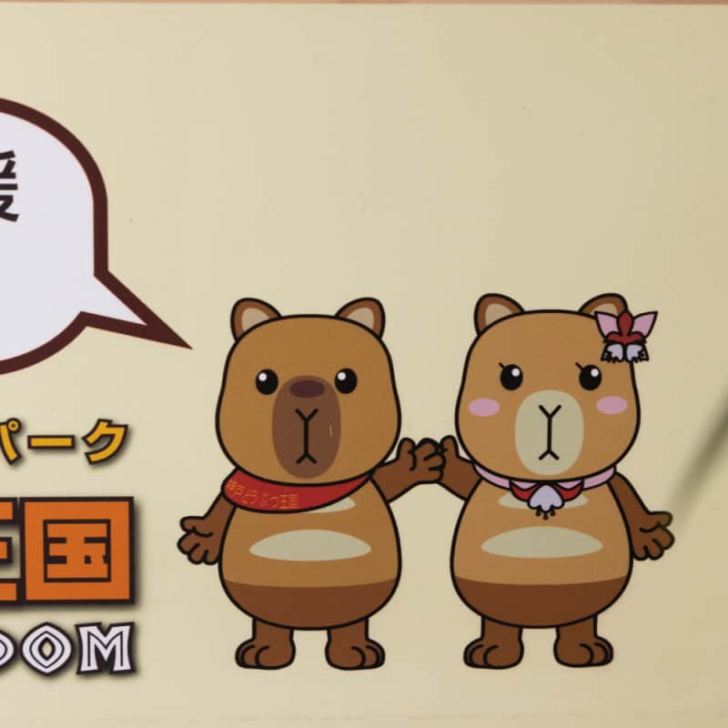 渡辺克仁さんのインスタグラム写真 - (渡辺克仁Instagram)「神戸どうぶつ王国のカピバラキャラクター、看板やぬいぐるみなどで見かけるけど名前を知ってる？  「カピィ＆バーバラ」新婚のカピバラです。  #カピバラ #水豚 #capybara #神戸どうぶつ王国」6月19日 11時58分 - katsuhito.watanabe