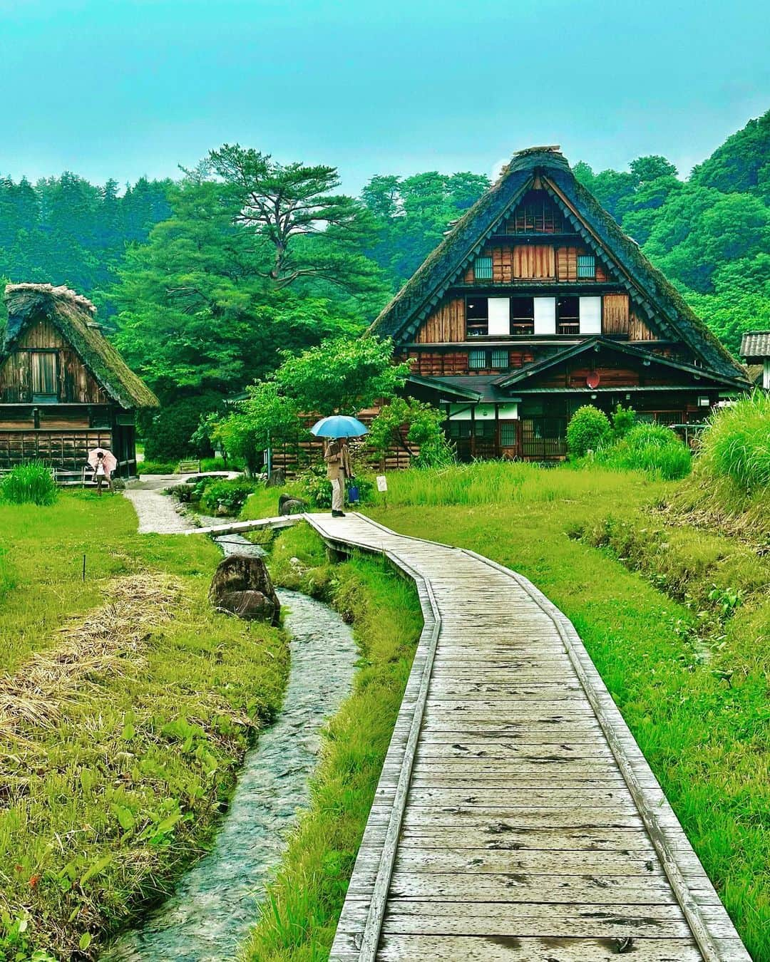 谷川じゅんじのインスタグラム：「World Heritage Shirakawa-go. 世界遺産白川郷。稲萌える田が美しいこの場所は世界中から人々が訪れます。白川では相互扶助を古くから“結ゆい”呼び、地域で助け合いながら数世紀に渡り暮らしてきたそうです。付け焼き刃なサステナなんとか？がペラペラに感じられる活きた共助はその絶景と共に息づいています。 #goodvibesonly #goodneighbors #thisisjapan」