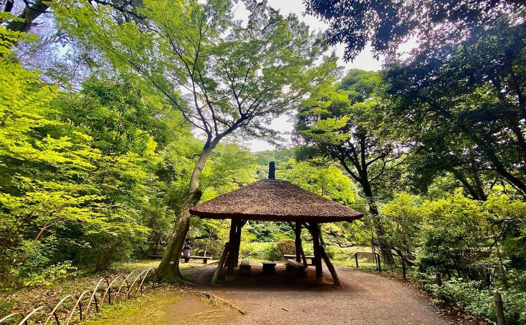 km観光タクシーさんのインスタグラム写真 - (km観光タクシーInstagram)「Meiji Jingu Shrine  #tokyotour #tokyolife #tokyonow #tokyotrip #tokyotravel #tokyojapan #tokyotokyo #tokyosightseeing #tokyotourism #tokyophotography #tokyosnap #tokyocity #visittokyo #mytokyois #kmタクシー #東京観光」6月19日 7時06分 - tokyodrive.jp