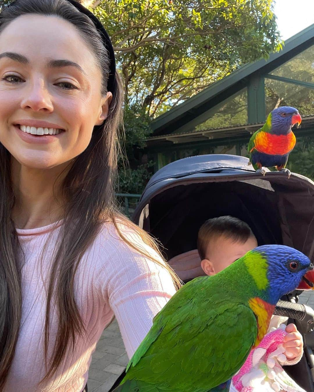 ELOUISE MORRISのインスタグラム：「Adding this to the morning routine 😍🦜🦜🦜 who had more fun? 🙃🦜❤️🦜💚🦜」