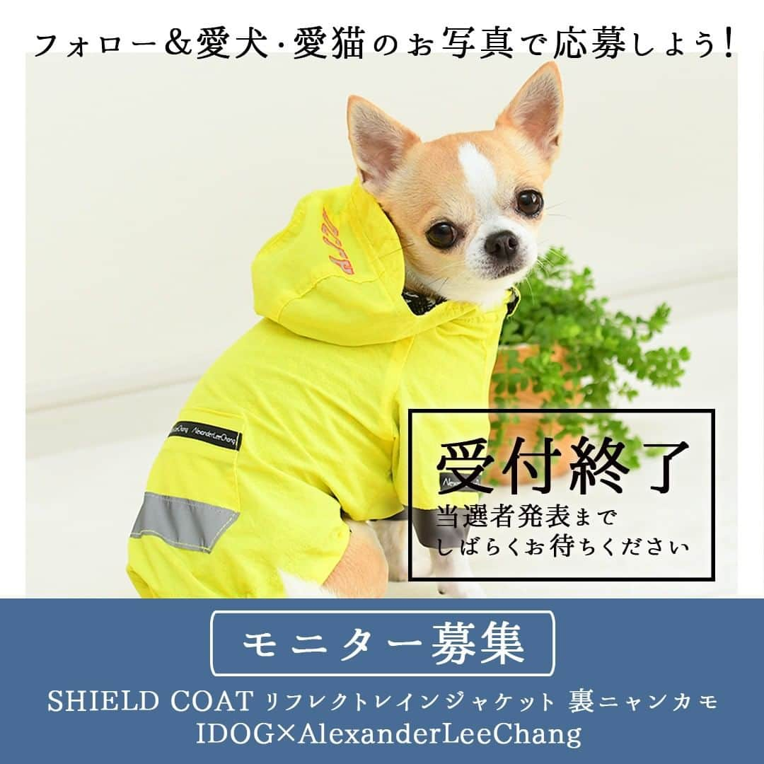 iDog&iCatさんのインスタグラム写真 - (iDog&iCatInstagram)「「SHIELD COAT リフレクトレインジャケット 裏ニャンカモ IDOG×AlexanderLeeChang」のモニター応募は6/18に終了いたしました。 #iDogモニター応募2023裏ニャンカモ へのたくさんのご応募ありがとうございます。 これ以降のご応募は受け付けられませんのでご了承ください。  これよりエントリーいただいた皆様の投稿から、抽選を行います。 結果発表までの抽選期間中にアカウントを非公開にしたり、応募用の投稿を削除されるなど、ハッシュタグの中から投稿が消えてしまうと選考から除外されてしまいますのでお気をつけ下さい。  当選者発表までお楽しみに！  #IDOGICAT #iDog #iCat #犬 #いぬ #猫 #ねこ #ペットケア #ペットケア用品 #モニター募集 #犬の服iDog #お試し #犬服 #ドッグウェア #ペット」6月19日 9時51分 - idogicat