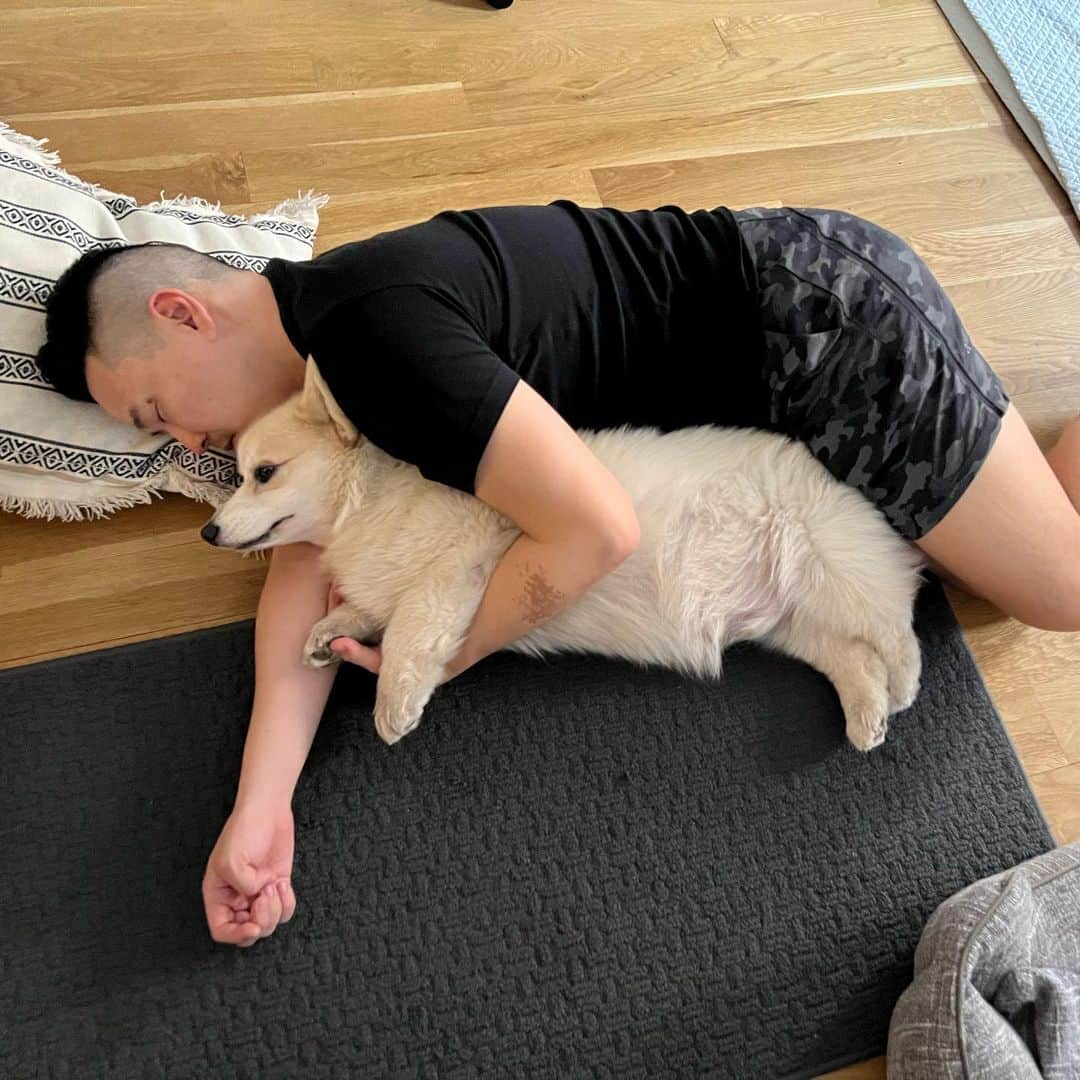 Winston the White Corgiのインスタグラム：「Little Spoon, Dad Spoon. #HappyFathersDay」