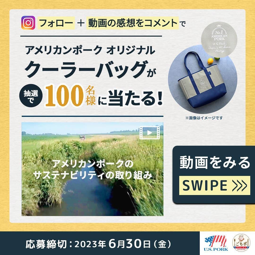 American beef&porkさんのインスタグラム写真 - (American beef&porkInstagram)「【🎉フォロー&動画の感想をコメントで当たる！アメリカンポークInstagramキャンペーン】  B4判がラクラク入るビッグサイズ！暑い季節の買い物にも便利なアメリカンポーク オリジナルクーラーバッグが抽選で100名様に当たる🎁✨  アメリカンポークの生産者は、環境にやさしくサステナブルな生産で、おいしいアメリカンポークを届けるために努力を続けています🐖  ＜賞品＞ アメリカンポーク オリジナルクーラーバッグ　100名様  ＜応募方法＞ ①「アメリカンミート公式Instagramアカウント（@americanmeatjapan）」をフォロー ②この投稿の2～３枚目の動画「アメリカンポークのサステナビリティの取り組み」を視聴して感想をコメント  ＜応募締切＞ 2023年6月30日(金)  たくさんのご参加お待ちしております！  YouTubeでも動画配信中！ 「アメリカンポーク　サステナビリティ」で検索！ https://youtu.be/lzpHj5RUNo4  #americanmeatjapan #usmef #americanmeat #americanpork #sdgs #アメリカンポーク #豚肉料理 #おうちごはん #肉 #肉料理 #肉好きな人と繋がりたい #簡単レシピ #ごちポ #キャンペーン #フォローコメントキャンペーン #キャンペーン開催中 #プレゼントキャンペーン #インスタキャンペーン #サステナビリティ #持続可能性 #環境にやさしい #生産者 @americanmeatjapan」6月19日 10時00分 - americanmeatjapan