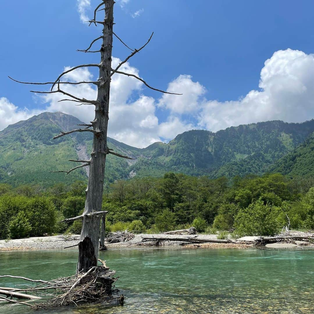 喜山康平さんのインスタグラム写真 - (喜山康平Instagram)「お久しぶりでした、上高地⛰🍃  美しい自然、松本で一番好きな場所です🕴🏼  #信州 #上高地 #自然満喫」6月19日 19時50分 - koheikiyama_