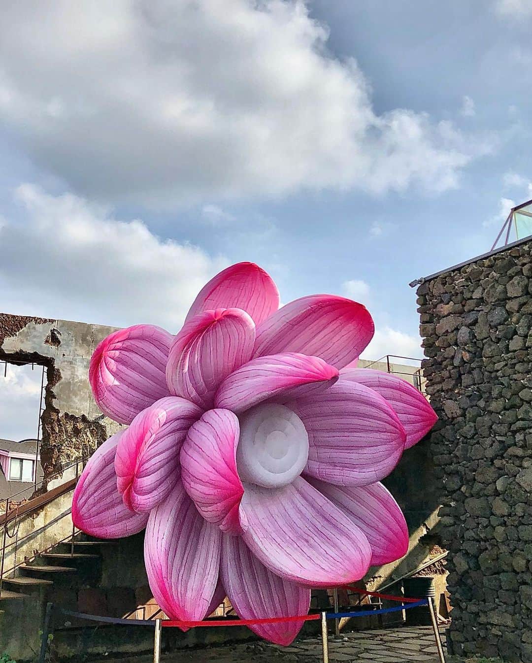高橋龍之介のインスタグラム：「🌸🚧　済特別自治道」