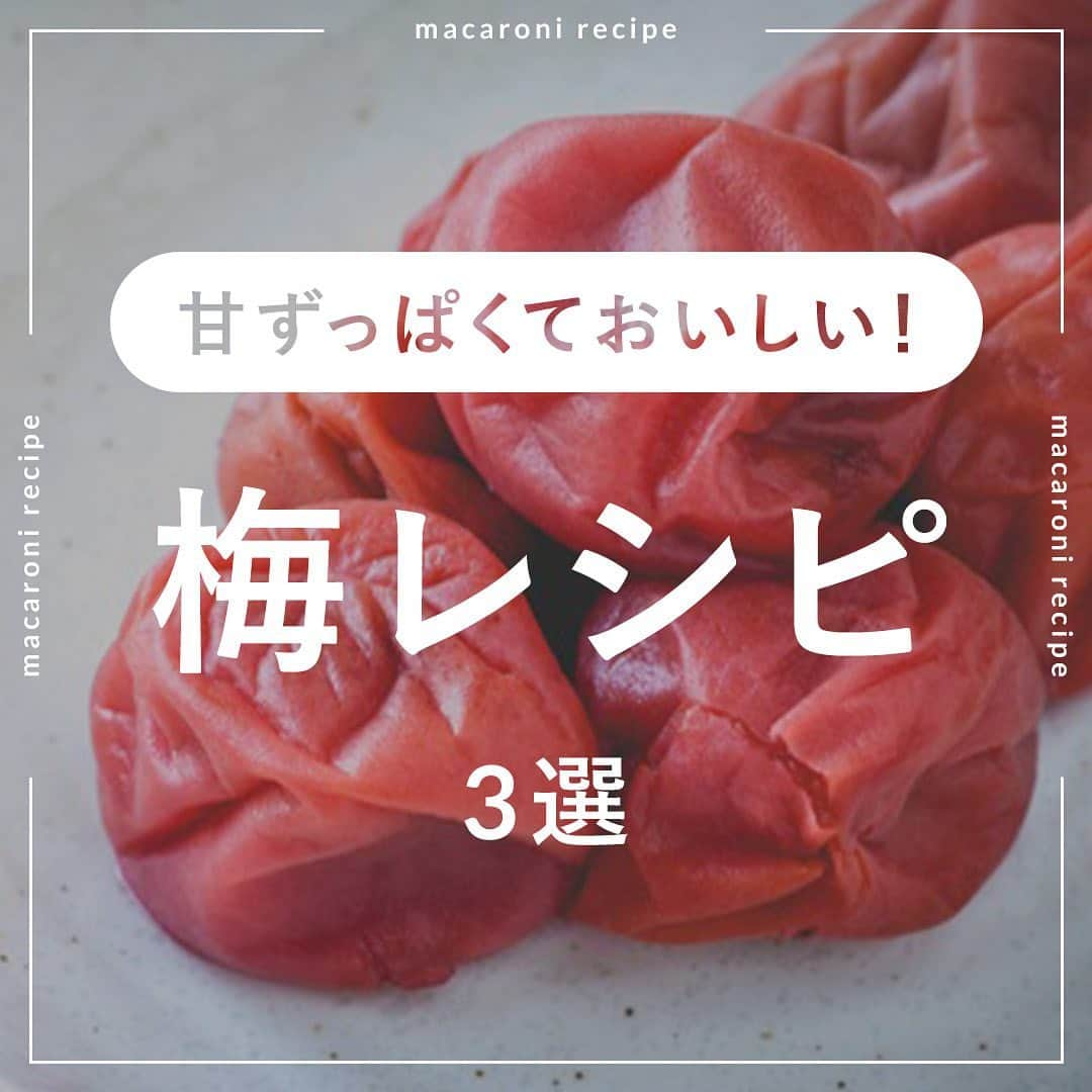 macaroniのインスタグラム