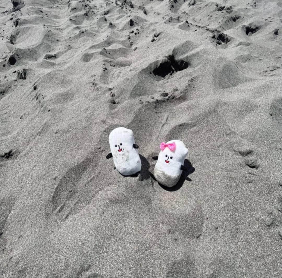 コメ助さんのインスタグラム写真 - (コメ助Instagram)「.  #由比ヶ浜 〜🌊🏝⛱  コメ子と小旅行( ´ ▽ ` )✨  #砂浜 で遊びすぎて 砂だらけになったヨネ🌾  #サーフィン をしている人もいたコメ🏄 ぼくも来年は。。🌊  今週もがんばるぞ〜⭐️  #旅行 #神奈川 #鎌倉 #海 #コメ助  #ゆるキャラ」6月19日 14時08分 - komenichiwa