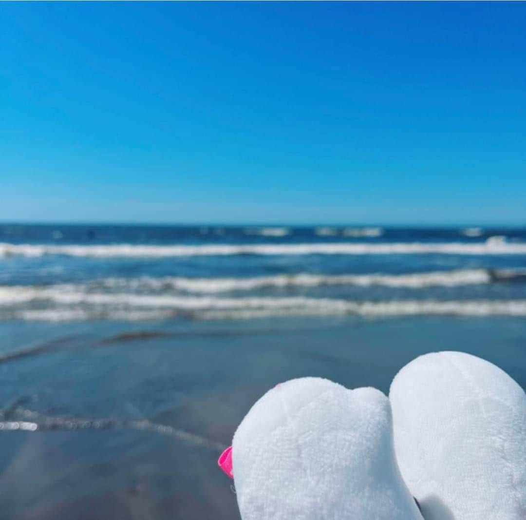 コメ助さんのインスタグラム写真 - (コメ助Instagram)「.  #由比ヶ浜 〜🌊🏝⛱  コメ子と小旅行( ´ ▽ ` )✨  #砂浜 で遊びすぎて 砂だらけになったヨネ🌾  #サーフィン をしている人もいたコメ🏄 ぼくも来年は。。🌊  今週もがんばるぞ〜⭐️  #旅行 #神奈川 #鎌倉 #海 #コメ助  #ゆるキャラ」6月19日 14時08分 - komenichiwa