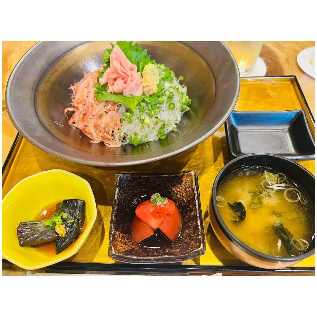 のインスタグラム：「小田原駅から１分 小田原海鮮が食べれる @sushi_irifune_odawara さん . 桜エビと生しらす丼🍚とか 幸せでしかない！！！ 小鉢も２個ついてきて トマト🍅と茄子🍆とか 夏だねぇー！！！ . 桜エビをこんなに食べたの はじめてだった💛 . 生しらすは新鮮で美味しい🫶 いくらでも食べれるって感じ！ 生姜醤油が🫚最高✨ . 1番美味しかったのは もしかしたら この酢飯かもしれない🫢 ってぐらい美味しくて 気になりすぎて 店員さんに聞いてみたら 「濃いめの酢飯で他とは違うかもしれないですね」 企業秘密だね😳✌️ . ご飯が美味しいって 最高なことだから🥹🫶 . メニューにあった いくら丼が めちゃくちゃうまそうで 値段ははるけど食べたいぐらい ここの酢飯が美味しかった！ . . . . PR @sushi_irifune_odawara #小田原グルメ #小田原海鮮 #入船小田原駅前店 #小田原ディナー #小田原ランチ #小田原海鮮丼」