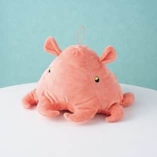 のインスタグラム：「． メンダコ🐙マダコ  個性的でかわいいロールティッシュケース💯 お部屋に置いておくだけで存在感バツグンです！  #マダコ #タコ #タコグッズ #たこグッズ #メンダコ  #メンダコグッズ  #インテリア #ティッシュケース #ロールティッシュケース #かわいいティッシュケース #おもしろティッシュケース #おもしろ雑貨 #ヴィレヴァン雑貨 #ヴィレヴァンオンライン #ヴィレッジヴァンガード」