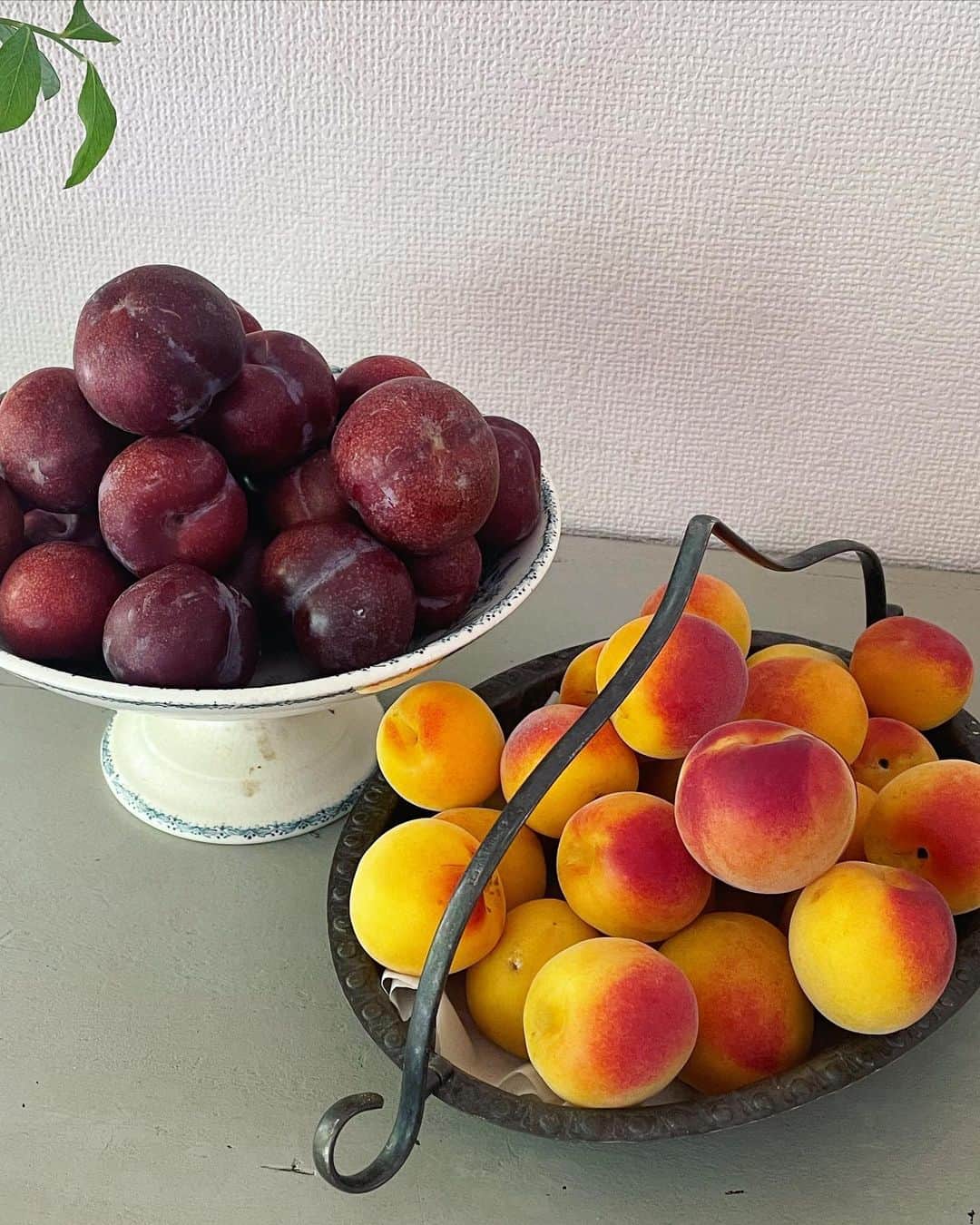 若山曜子さんのインスタグラム写真 - (若山曜子Instagram)「ああ忙しい忙しい。 大好きな果物が矢継ぎ早にやってくるこの季節。とりわけ梅。  もうね、家中にふわーーっと甘酸っぱい香り！ でも、やばいやばい早く煮なくては。という気持ちにもなります。  梅、杏、プラムといったプラム系の果物は見た目もかわいい。梅なんて、キラキラ水の羽衣をまとったような姿をずーっと見てられます。 手を加えるのがほんとに楽しくてウキウキ。けど忙しい、、けど楽しい。笑  青梅シロップは，青梅のキリッとした味わいを生かし、加熱しないで作るのが好きですが、華やかな香りの黄熟梅は、梅をコンポートしたときのシロップが気に入ってます。  ただ毎年、冷蔵庫で梅が甘く食べ頃になるにつれ、シロップは梅のエキスで酸っぱく、少し薄くなるんですよね。。 後から随時濃いめのシロップを、または砂糖を追加するというマロングラッセ方式で最後まで美味しく食べていましたが、、今年こそは最後まで味（分量）を極めたい。  （昨年、一昨年の完熟梅シロップとコンポートのレシピは、インスタにアップしてます）  今日試しに作ってみたのは、砂糖と水同割。少し白ワインも入れたシロップを作り、極々弱火でコトコト。いつもは15分くらいで火を止めるんですが、、今日はうっかり😱３０分くらい煮てたかも？  と、シロップはすでにかなり酸味が出ていたので、砂糖を追加。 よく考えたら、梅ジャムも、群をぬいて砂糖の分量が多いし、、梅ってレモン並みに酸っぱいんだなあ。だから好きなんだな。  煮込みすぎて少し破れた完熟梅は、潰してジャムに。いつもの梅ジャムより、少し渋みがないかな？くらいで（比べたら、もしかしたら若干風味も薄いかもですが。。）とっても美味しい❣️シロップとコンポートとジャム、一石で三鳥美味しいのでは？✨  そうそう、実の取りきれない梅の種は何かに漬ければ梅風味の素敵な調味料に。 梅醤油をよく作るけど、煮切った酒とみりんや、めんつゆにポンっと入れてもおいしいと思う。はっ、、一石四鳥ではないか。  とりあえず、毎年正確な分量を測らず作ってるので（味見しつつが楽しいんですけどね） 今年こそもう一回計量しつつトライしてみようと思います…！  写真3枚目はプラムと黄熟梅をあわせたコンポート。こちらもどうかなあ。単体とどちらがおいしいか、、楽しみです。」6月19日 14時59分 - yoochanpetite