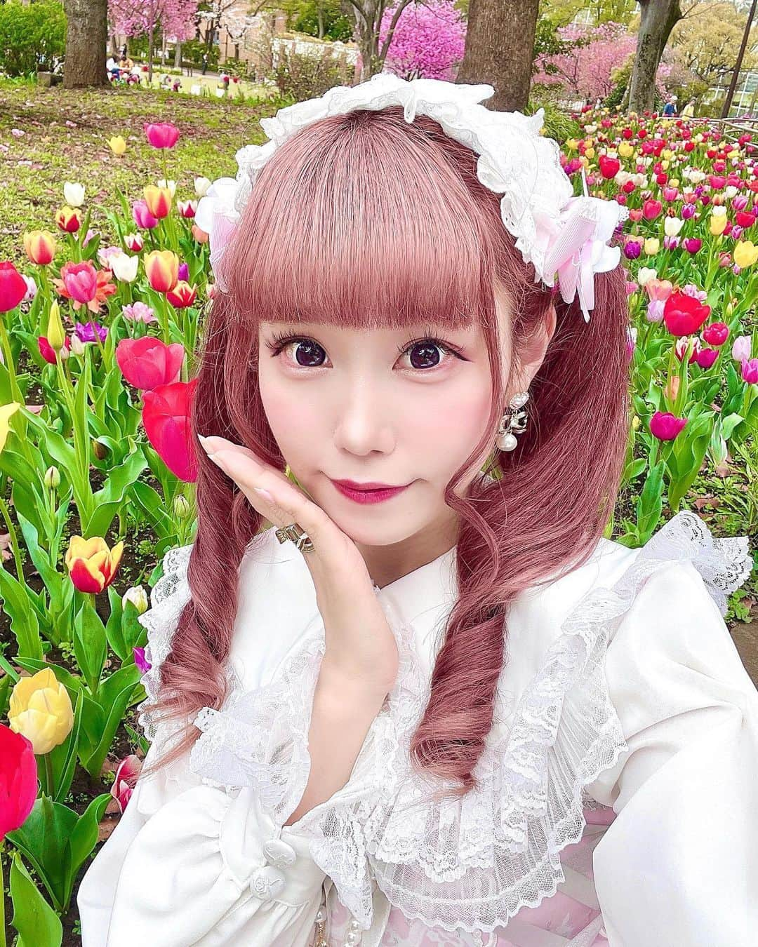 雨宮真梨子のインスタグラム：「⁡ ⁡ ⁡ ちゅーりっぷ🌷🤍 ⁡ ⁡かわいい♡？ ⁡ ⁡ ⁡ 久しぶりの更新になってしまった…🥹 まだ不自由な事もあるけど、 通院とリハビリのおかげもあって 段々と体調は良くなってきてます！♡ ̖́- 心配ありがとう( ⸝⸝⸝ ̫⸝⸝⸝)◦♡︎ ⁡ #公園フォト #自撮り #自撮り界隈 #自撮り女子 #selfie #チューリップ #チューリップ畑 #ヘッドドレス #ロリータ #ロリータファッション #ロリィタ #lolita #lolitafashionstyle #ロリータ服 #ロリータコーデ #ロリータさんと繋がりたい #ピンクコーデ #kawaiifashion #kawaiigirl #kawaiistyle #babythestarsshinebright #ベイビーザスターズシャインブライト #ツインテール #可愛い女の子 #量産型女子 #量産型ヲタク」