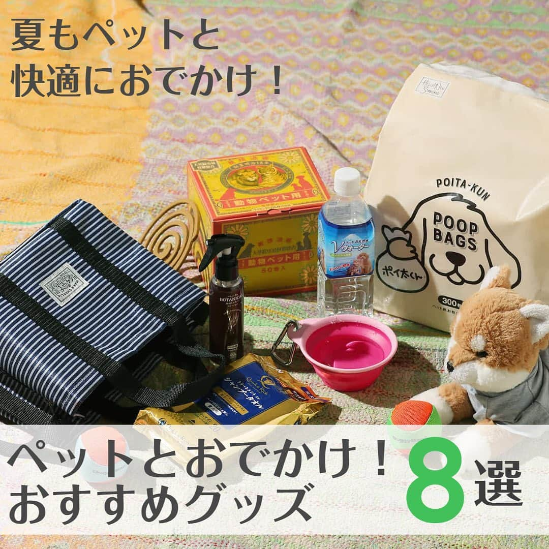 LOHACO（ロハコ）のインスタグラム：「＼ペットとおでかけ！おすすめグッズ／  大好きなペットと夏も一緒におでかけ♪ 暑い夏も快適に過ごせる商品もたくさんあります！ そこで、バイヤーおすすめの商品8選をご紹介！  ■お散歩うんち袋 ポイ太くん 300枚入 ロハコオリジナル ロハコ限定デザイン！ ポケットにいれて持って帰って、取ったフンは紙袋と一緒に水洗トイレに流せる♪  ■ペット用虫よけ スプレー BOTANICAL アースペット ペット用虫よけスプレー！ 天然由来の成分（レモンユーカリ由来）がイヤな虫をよせつけない！ 舐めても安心だよ♪  ■菊精渦巻 天然除虫菊蚊取線香 ペット用  ライオンケミカル レトロでかわいい♪ペットを蚊から守るペット用蚊取り線香！ 長時間効果が持続する大型サイズ。さらにたっぷり使える50巻入り  ■ペットの天然水  Vウォーター 国産 アースペット マグネシウム・カリウム含有量が低く、 犬・愛猫の飲み水に適した軟水。 夏バテにならないようにしっかり水分補給♪  ■ ソフトノーパンクボール 超小〜小型犬用  ドギーマン 大好きなボールで遊んでいるとすぐにパンクして がっかりするワンちゃんのお悩み解決！  ■クイック＆リッチ トリートメントイン ライオンペット ふき取るだけで、指どおりなめらか！ 極上の仕上がり♪ 汚れもニオイもしっかりからめ取るよ！  ■犬用 水飲み ぺたんこボウル S ピンク　ライトハウス 便利、携帯するお皿！ 使用時には広げて、保管や持ち運び時には折りたためる♪  ■お散歩バッグ ヒッコリー　シービージャパン お散歩時の不便を解決、多機能お散歩バッグ！ うんち袋を入れるサイドポケット付き♪ 便利なショルダーベルトもついてるよ！  気になるアイテムがあった方は ストーリーズのリンクから確認できます！ もしくは、LOHACOで各商品名で検索してみてくださいね♪  ※一部地域で在庫切れの商品がございます。 予めご了承ください。  ＿＿＿＿＿＿＿＿＿＿＿＿＿＿  ▼Instagramで紹介した写真の詳細は プロフィール @lohaco.jp から♪  ▼商品のURLはこちら https://685.jp/3P8YuMd ＿＿＿＿＿＿＿＿＿＿＿＿＿＿＿  #ロハコペット #ワンちゃん #ネコちゃん #わんちゃん #ねこちゃん #犬 #猫 #うんち袋 #虫よけ #犬用品 #猫用品 #お散歩グッズ #シャンプータオル #ケア用品 #暮らし #くらし #ロハコ #LOHACO #askul #アスクル」