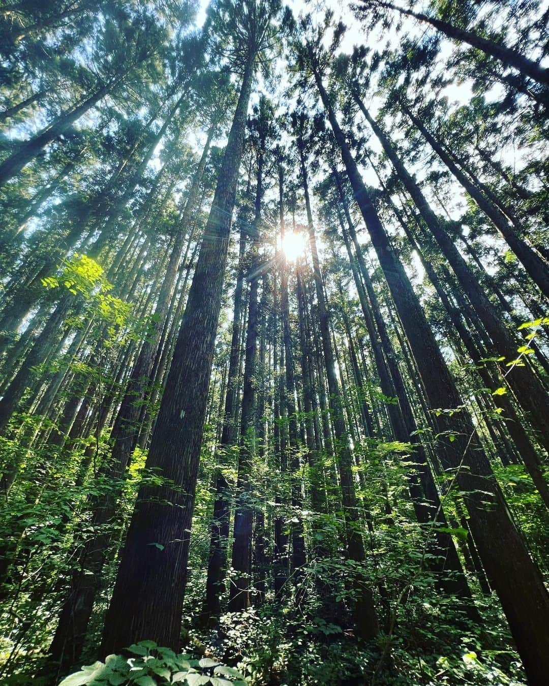 正隨優弥さんのインスタグラム写真 - (正隨優弥Instagram)「天気も良くて最高案件🏞️  #秋保大滝  #仙台市」6月19日 16時24分 - zui.l.zui