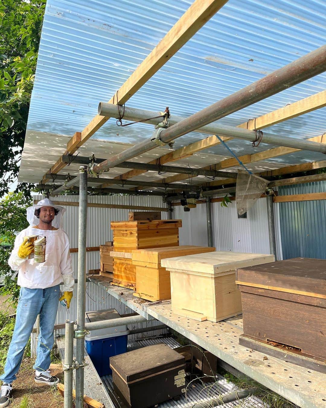 三浦理志のインスタグラム：「蜜蜂ちゃんたちが5群にパワーアップ❗️ 野菜たちもいい感じです。 しかし夏の作業は辛い。😓 SURF&NORF #surfandnorf #farm #farmlife #bee #beekeeping # #honey #vegetables #畑 #野菜 #自家製野菜 #養蜂 #蜜蜂 #蜂蜜」