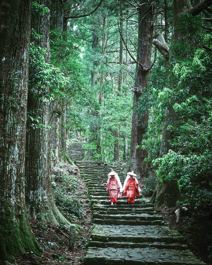 和みわかやまさんのインスタグラム写真 - (和みわかやまInstagram)「. 杉並木に石畳の階段が続く、熊野古道の大門坂。約1.3km歩いた先には、熊野那智大社や那智山青岸渡寺があります🙏  📷：@chan_fujiyu 📍：熊野エリア 那智勝浦町  和歌山の写真に #nagomi_wakayama のハッシュタグをつけて投稿いただくと、その中から素敵な写真をリポストします😉 . . . #和歌山 #和歌山観光 #和歌山旅行 #わかやま #和みわかやま #wakayama #wakayamajapan #wakayamatrip #wakayamatravel #nagomi_wakayama #wakayamagram #熊野那智大社 #那智山青岸渡寺 #熊野古道 #大門坂 #中辺路 #kumanokodo #kumanonachitaisha #seigantoji #kumano #旅行 #国内旅行 #旅行好きな人と繋がりたい #観光 #travel #trip #travelgram #japan #travelphotography」6月19日 17時00分 - nagomi_wakayama_tourism