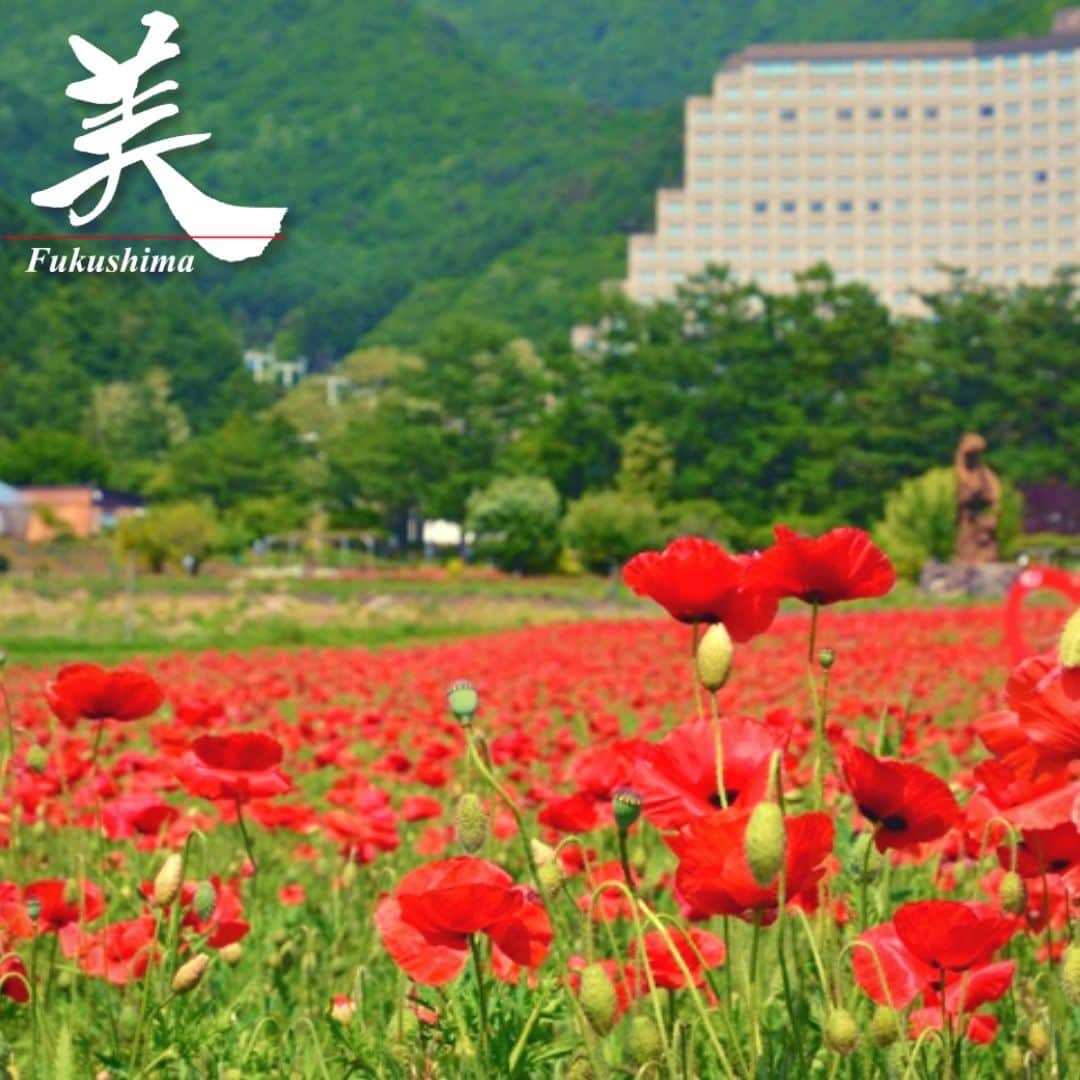 福島県のインスタグラム