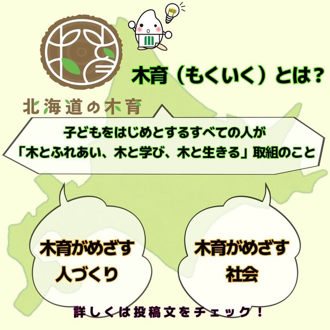 ミツハシくん-Mitsuhashi Rice-さんのインスタグラム写真 - (ミツハシくん-Mitsuhashi Rice-Instagram)「北海道からお知らせ🌾  今回は「とれたて米・ゆめぴか」についてのお知らせだよ📢  4年産は社会貢献として「植樹」への寄付を行ってたけど、 5年産は「木育」に変更となったよ🧐  「木育」は、 道民のみなさんや道庁とが一緒になって検討をすすめた 「木育（もくいく）」プロジェクト（平成16年9月に発足）より 提案されたんだ💡  ～木育がめざす人づくり～ ・五感とひびきあう感性を育みます ・共感を分かち合えうる人づくりをめざします  ～木育がめざす社会～ ・地域の個性を生かした木の文化を育みます ・人と自然が共存できる社会をめざします  店頭に並んだ時には、是非米袋を確認してみてね🔍 ※９月下旬頃に店頭に並ぶ予定🍚 . #ミツハシライス  #企業キャラクター  #ミツハシくん   #北海道  #ゆめぴりか  #とれたて米  #木育   #お米 #米 #ご飯 #ごはん #rice  #農業 #農家 #田んぼ #米作り  #稲作」6月19日 17時04分 - 3284rice