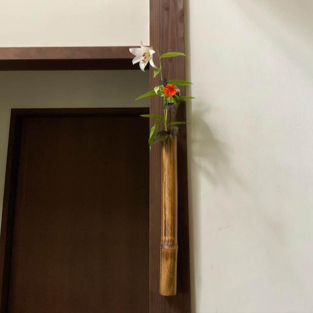 ヒロミチナカノさんのインスタグラム写真 - (ヒロミチナカノInstagram)「竹の掛け花入れに笹百合と半夏生と松本センノウを入れました。 #flowers」6月19日 17時33分 - hiromichinakano_official