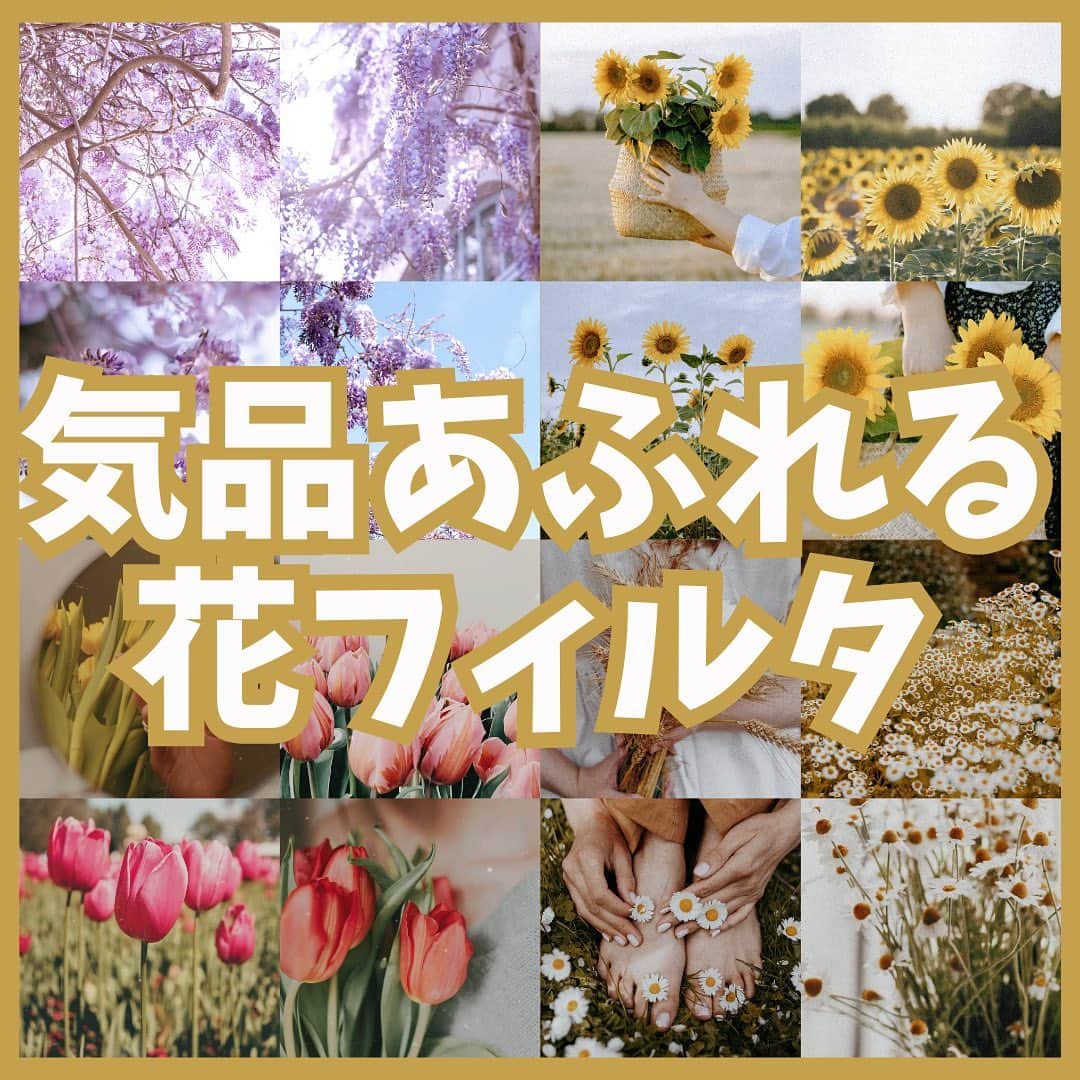 BeautyPlus Japanさんのインスタグラム写真 - (BeautyPlus JapanInstagram)「気品あふれる花フィルター💐  花の撮影におすすめ！  #BeautyPlus #beautyplusapp #ビューティープラス #写真加工 #写真編集 #加工アプリ #花の写真 #フィルター」6月19日 17時38分 - beautyplus_jp