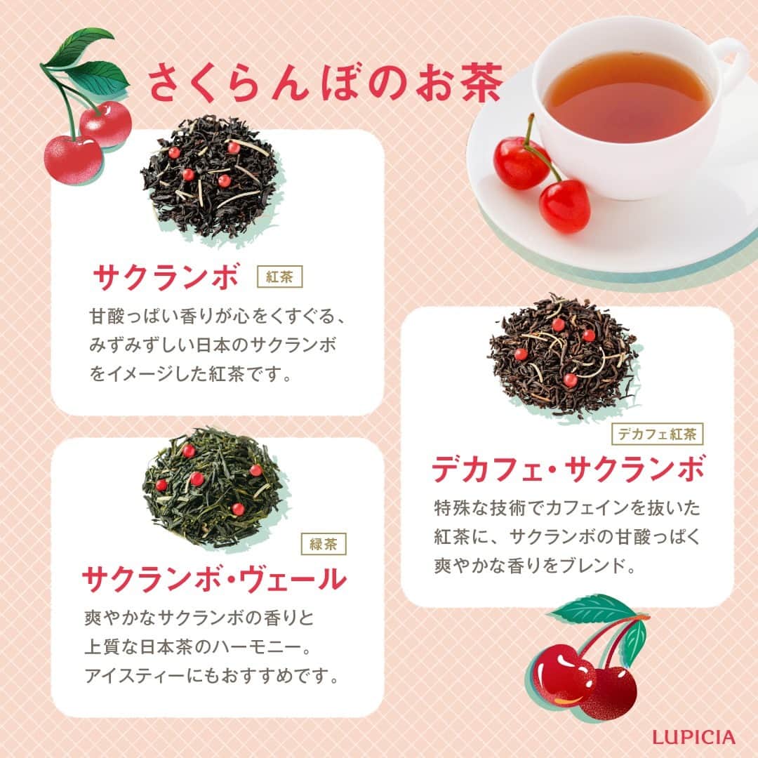 株式会社ルピシアさんのインスタグラム写真 - (株式会社ルピシアInstagram)「今が旬の #さくらんぼ🍒 甘酸っぱい果実の香りが広がるお茶☕  ルピシアで人気のさくらんぼのお茶をご紹介します！ 飲んだことがあるお茶はありますか？👀  ❤サクランボ（紅茶） みずみずしい日本のサクランボをイメージした紅茶。  💛デカフェ・サクランボ（デカフェ紅茶） カフェインを控えたい方におすすめ。  💚サクランボ・ヴェール（緑茶） アイスティーにぴったり！爽やかな風味。  サクランボのお茶で作る #アレンジレシピ をウェブサイトで公開中❣ 「ルピシア アレンジ」で検索、またはプロフィールのリンク先、ストーリーズからどうぞ🔍 @lupicia_japan  商品や店舗に関する個別のお問い合わせは、お客様相談窓口0120‐112‐636（10:00～18:00）にて承っております。  ・・・・・・・・・・・・・・・・・・・・・・・・ サクランボのお茶の感想は #ルピシア今日の一杯 を付けて投稿してくださいね🍒 ・・・・・・・・・・・・・・・・・・・・・・・・  #ルピシア #LUPICIA #お茶 #ティータイム #teatime #tea #紅茶 #緑茶 #デカフェ #サクランボ #アフタヌーンティー #おうちカフェ #カフェ巡り #アレンジティー」6月19日 17時40分 - lupicia_japan
