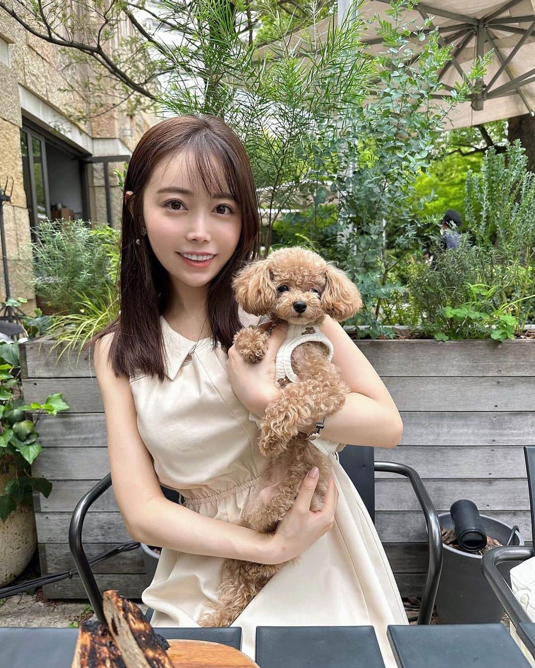 辻満里奈のインスタグラム：「愛犬のラニとランチ🍽✨  トマトたっぷりのパスタがすごく美味しかったです〜🤤🤍(小さい頃から、全野菜の中でトマトが1番好き🍅笑)  #ランチ #イタリアン #愛犬とお出かけ #愛犬とランチ #トイプードル #ティーカッププードル #toypoodle #teacuppoodle #東京グルメ #東京イタリアン #knock #アナウンサー #セントフォース #辻満里奈」