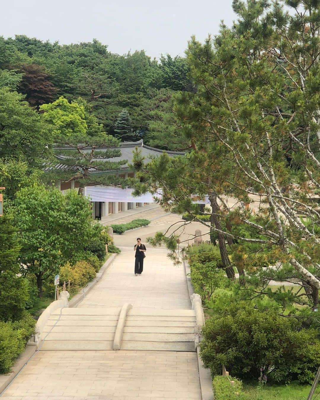 イ・ヒョヌさんのインスタグラム写真 - (イ・ヒョヌInstagram)「초록색 하루🌱」6月19日 18時59分 - hihyunwoo