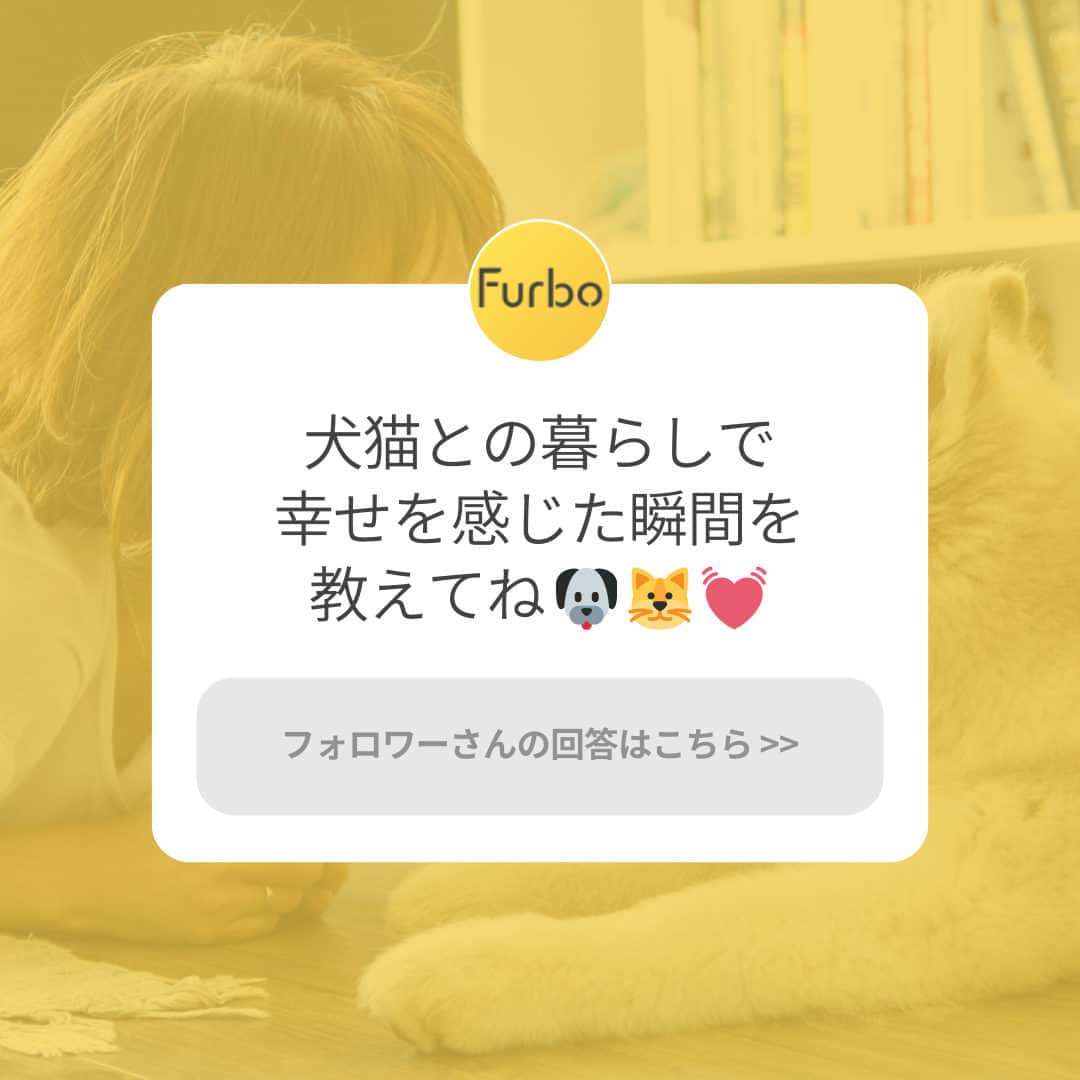 Furbo ドッグカメラのインスタグラム