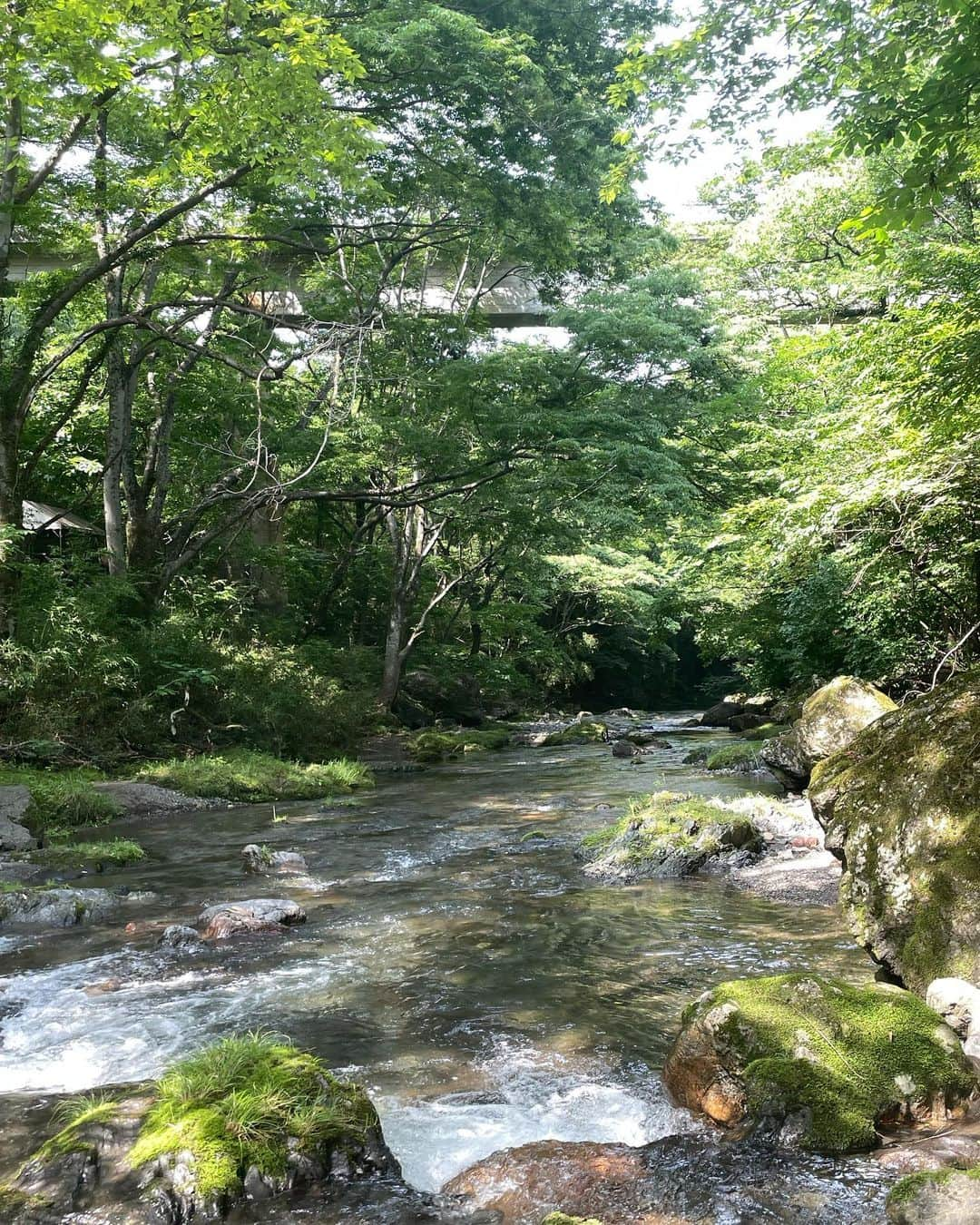 湊ジュリアナさんのインスタグラム写真 - (湊ジュリアナInstagram)「自然の力を沢山頂いて、今週も良い1週間にしようね〜✨I recharged to start another beautiful week ❤️grande natureza 🌱 recarreguei minha energia com a força da natureza ✨ vamos ter uma semana abençoada ❤️ ✨ ✨ ✨ #nature #自然 #自然の力 #自然のパワー #自然のある暮らし  #自然の中で #パワースポット #パワーチャージ #自然は美しい  #マインド #マインドフル #マインドフルネス #川 #埼玉県 #埼玉観光 #saitama」6月19日 20時00分 - julianaminato