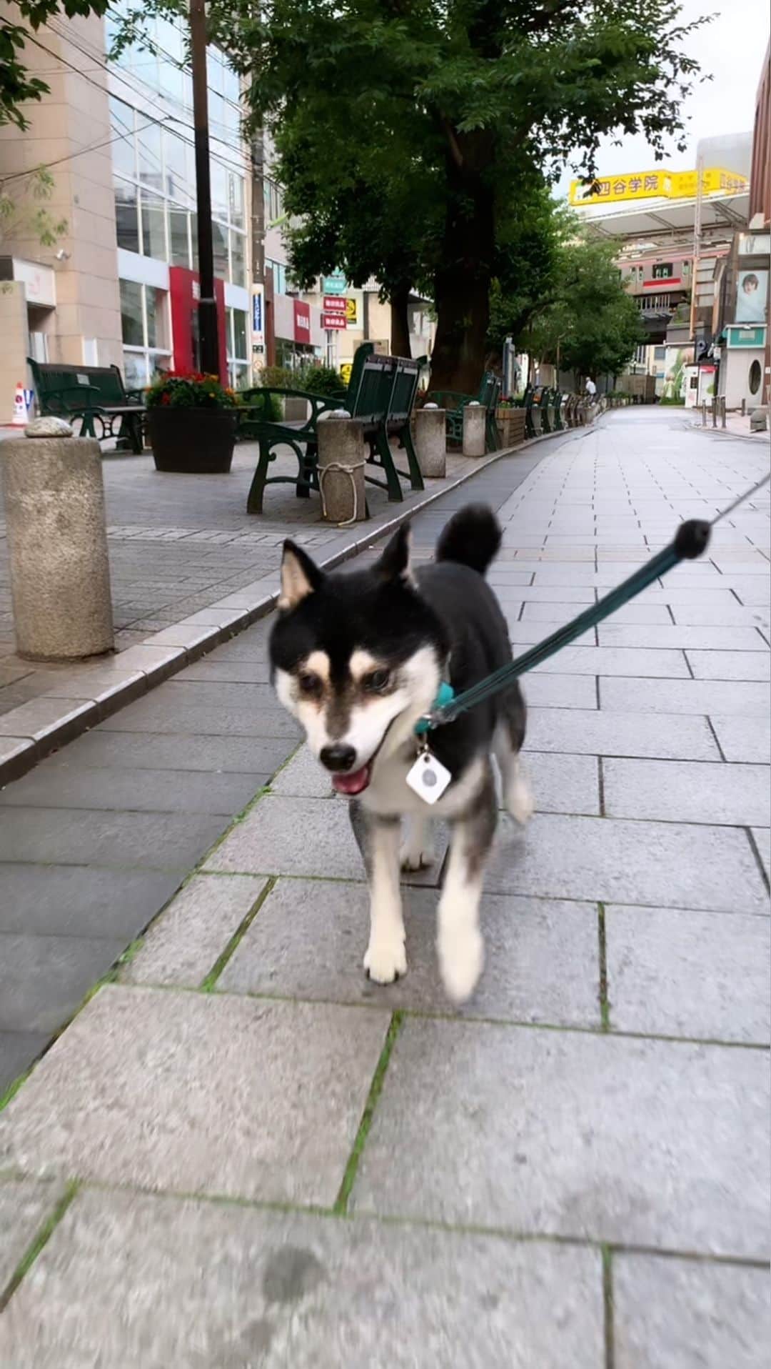 くろのグルメインスタ