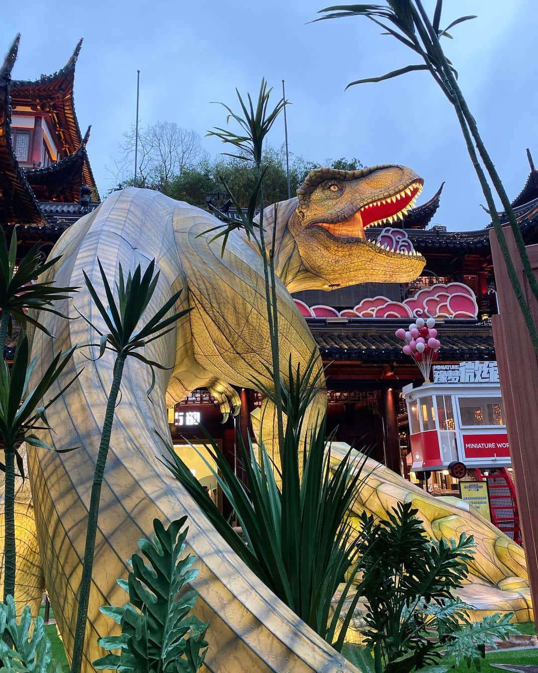 小林希さんのインスタグラム写真 - (小林希Instagram)「小笠原産のクジラTシャツで 豫園に来たら、陸の猛者がいた！  #上海 #豫園 #週末海外」6月19日 21時28分 - nozokoneko