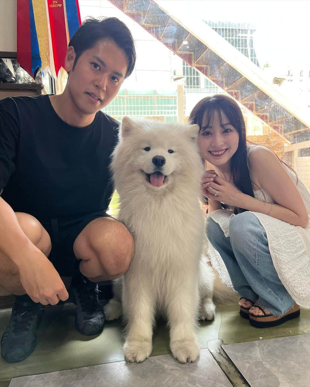 待鳥志織さんのインスタグラム写真 - (待鳥志織Instagram)「サモエドカフェ🐶❤️🇰🇷 もう、可愛くて可愛くて可愛くて。 一生ここに住ませてください って感じだった...。 韓国言ったら絶対また行きたい😭 #サモエドカフェ#韓国旅行#上水#🇰🇷」6月19日 21時31分 - __.shiori_