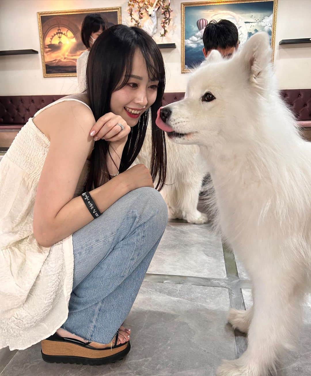 待鳥志織さんのインスタグラム写真 - (待鳥志織Instagram)「サモエドカフェ🐶❤️🇰🇷 もう、可愛くて可愛くて可愛くて。 一生ここに住ませてください って感じだった...。 韓国言ったら絶対また行きたい😭 #サモエドカフェ#韓国旅行#上水#🇰🇷」6月19日 21時31分 - __.shiori_