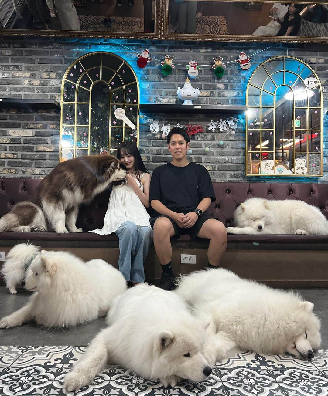 待鳥志織さんのインスタグラム写真 - (待鳥志織Instagram)「サモエドカフェ🐶❤️🇰🇷 もう、可愛くて可愛くて可愛くて。 一生ここに住ませてください って感じだった...。 韓国言ったら絶対また行きたい😭 #サモエドカフェ#韓国旅行#上水#🇰🇷」6月19日 21時31分 - __.shiori_