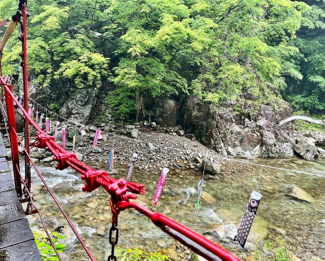 のインスタグラム：「広島県の三段峡✨  絶景に感動しました！ 緑が沢山で、空気も美味しかったな🌳  案内してくださった木下さん、ベロニカさん とてもお優しくて楽しかったです！ どうもありがとうございました☺︎  台風の時期で船に乗れなかったので、また晴れている日にリベンジしたいな〜☀︎   #広島   #外国人がガチで投票都道府県総選挙   #三段峡   #お好み焼き   #美味しかった」