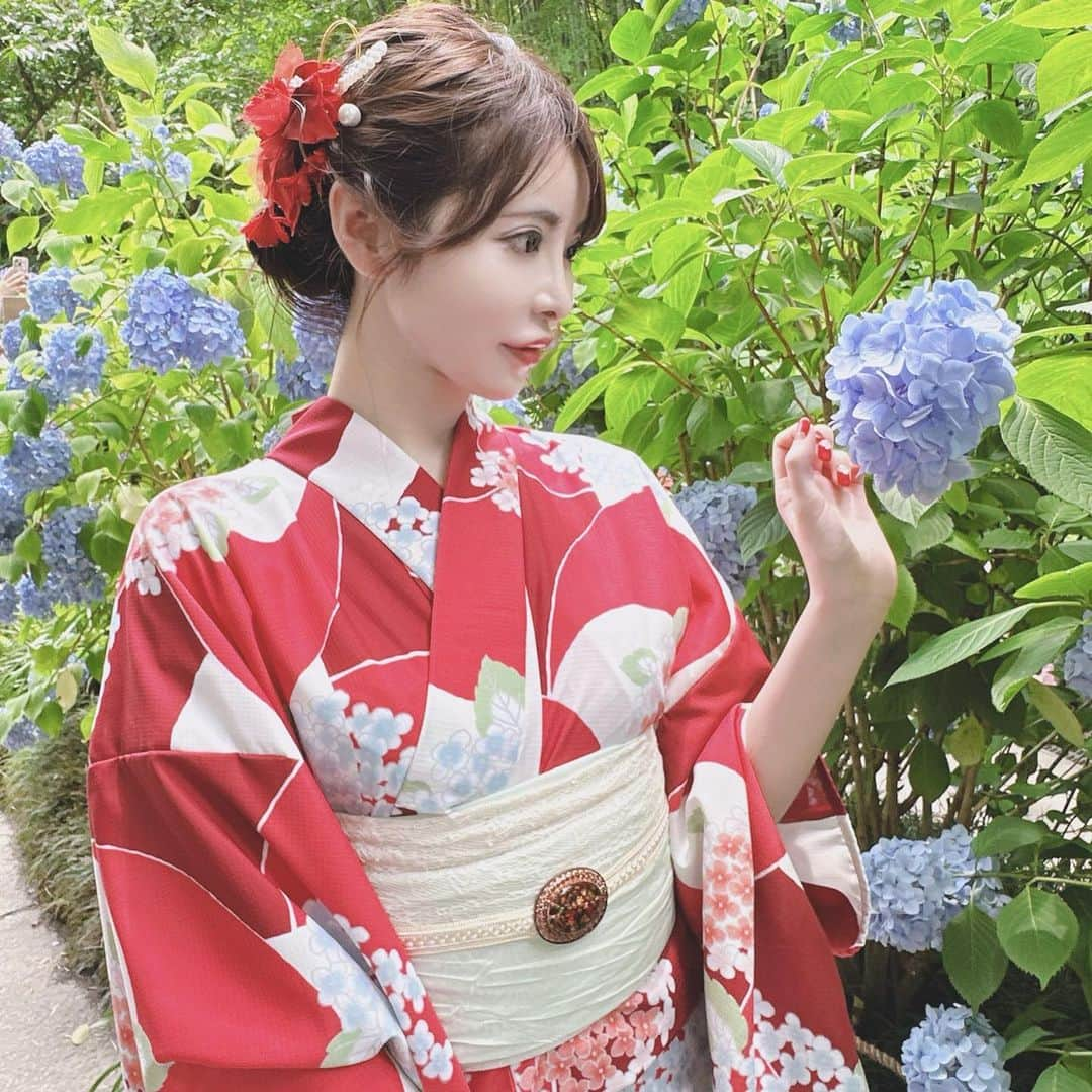 桃瀬えりなのインスタグラム：「鎌倉紫陽花💠浴衣📸 𝑷𝒂𝒓𝒕1♡ 赤の浴衣お気に入り👘  #kamakura #yukata #follow #followme #鎌倉 #北鎌倉 #明月院 #明月院ブルー #浴衣 #紫陽花 #紫陽花寺」