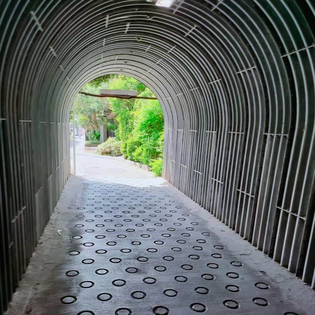 工藤里紗さんのインスタグラム写真 - (工藤里紗Instagram)「トンネルの先に緑が見えて ワクワクしてしまった🌿 住宅街だった笑」6月19日 22時24分 - risa910104
