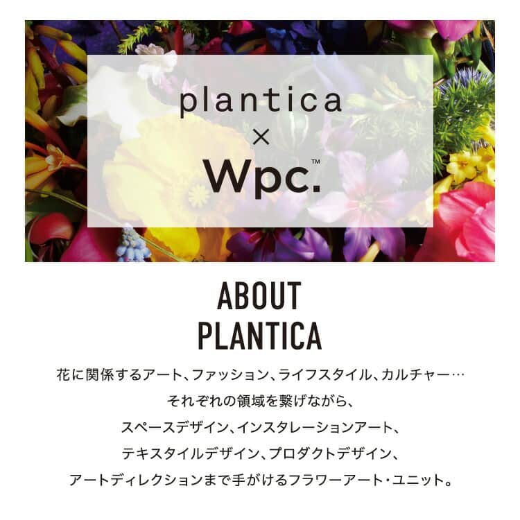 planticaのインスタグラム：「plantica x Wpc. | フラワーアンブレラ プラスティックミニ🌂  人気のコラボシリーズ第5弾に、半透明の生地が美しい折りたたみビニール傘が新登場。たくさんの花が空から降りそそいできたようなデザインが特徴のビニール傘です。詳しくはWpc.のオンラインストアにて。  --- ☂️: @wpc_official 📷: @kobinai_maimi 🌿: @plantica_jp  #plantica #プランティカ #wpc #折り畳み傘 #雨の日コーデ #傘」