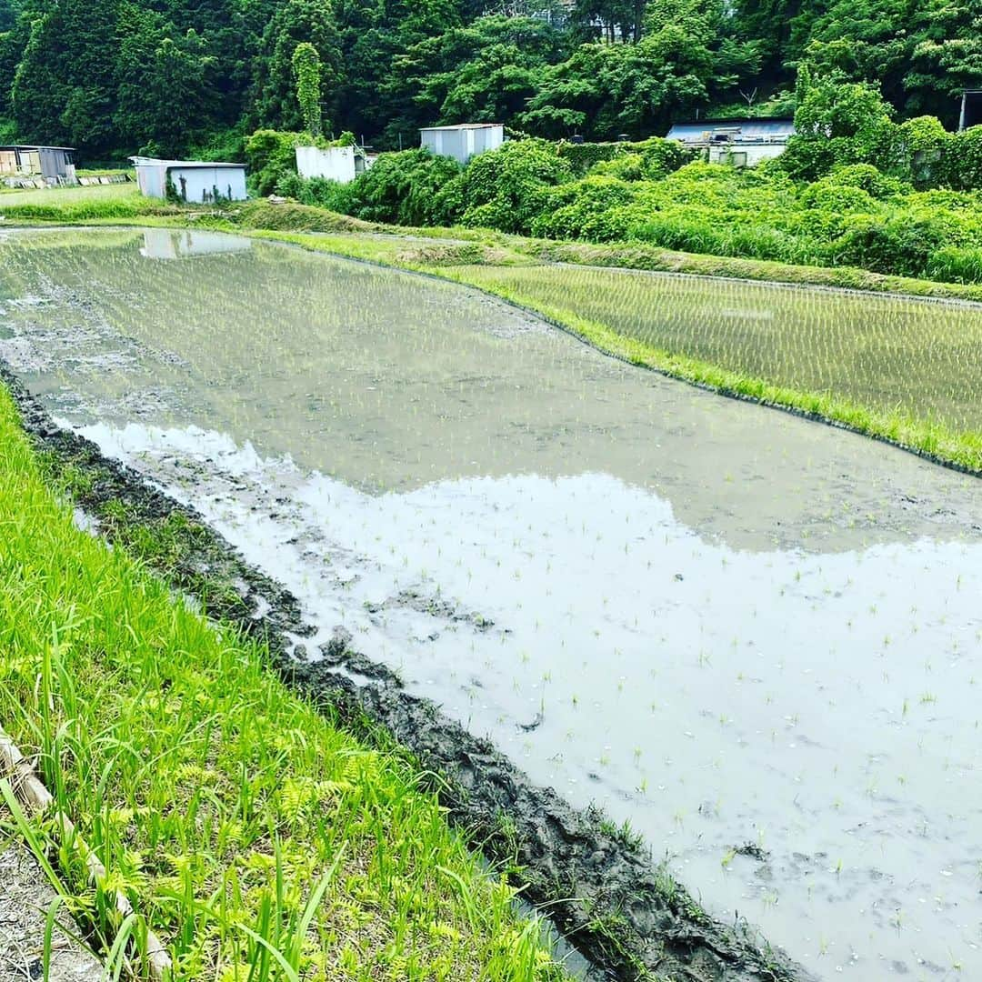 河瀬直美さんのインスタグラム写真 - (河瀬直美Instagram)「田植え 10年目✨✨✨  いやぁ よー腰おとして 踏ん張っております😅  バスケ部で ディフェンスする時の カタチですな  働いた後は 恒例のBBQ コロナで3年程 お弁当で我慢してたけど 田植えは続けて ようやく みんなでBBQ  楽しいなぁ 嬉しいなぁ  今度は稲刈り 秋にまたお会いしましょう😉  Planting rice for the 10th year ✨✨✨  Ahhh really bending over and giving it my all 😅  The same stance I had playing defense on my basketball team  As always, we had a BBQ after working Due to covid we had to make due with boxed lunches for three years but we continued to plant rice and finally we were all able to have a BBQ  So fun so happy  Next time will be cutting the ears of rice See you again in autumn 😉  #直美米 #田植え #10年目 #感謝✨ #naomirice  #plantingrice  #10thyear  #gratitude✨」6月19日 22時53分 - naomi.kawase