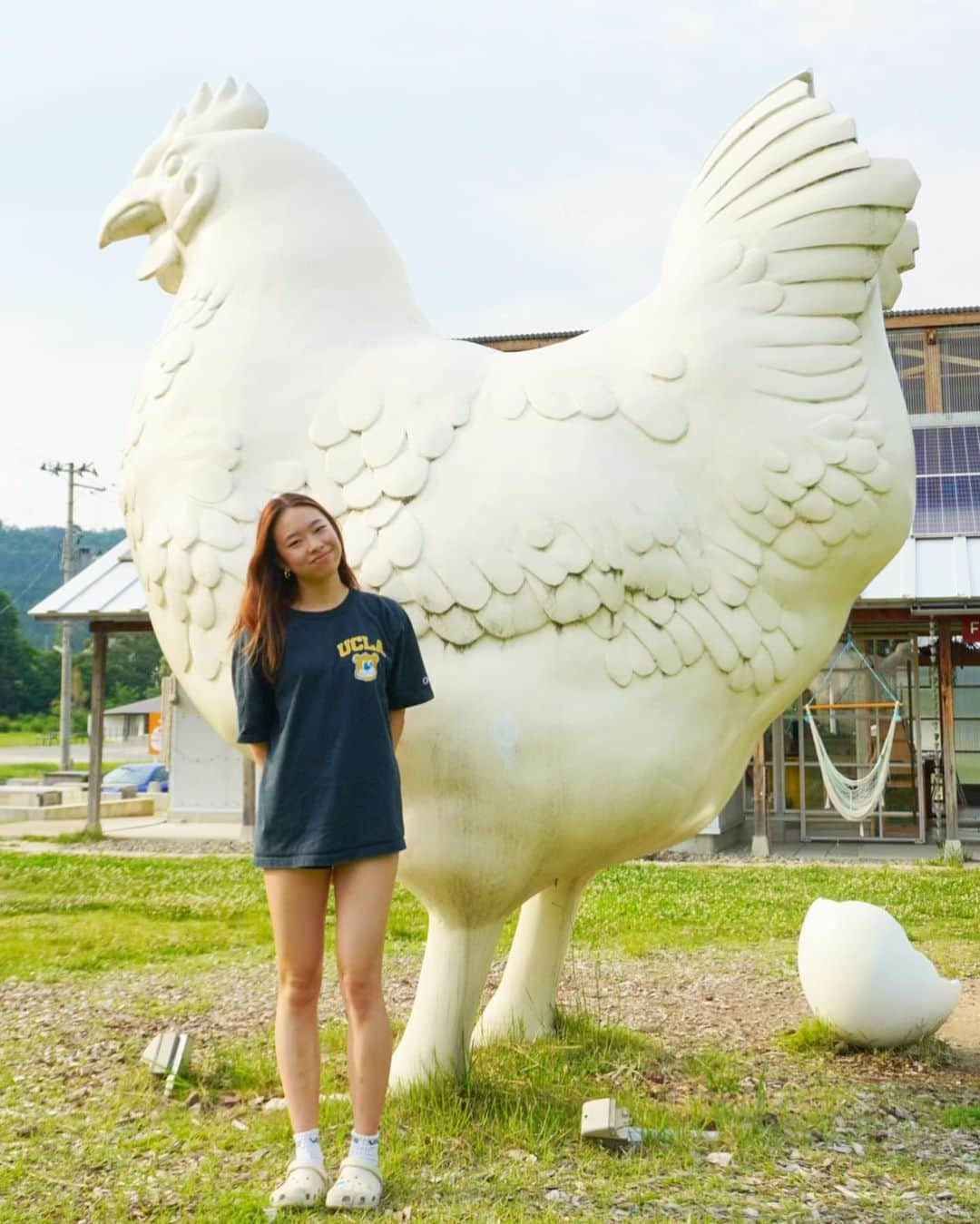 山城葉子さんのインスタグラム写真 - (山城葉子Instagram)「. 🐓🥚🥚🥚🥚🐥🐥」6月19日 22時57分 - yokoyamashiro