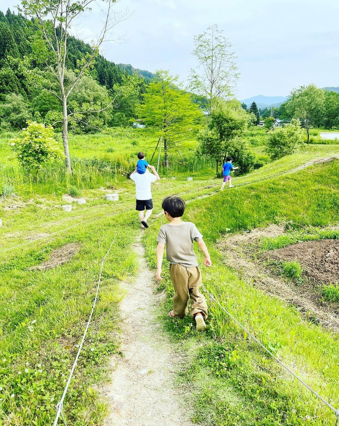 山城葉子さんのインスタグラム写真 - (山城葉子Instagram)「. 🐓🥚🥚🥚🥚🐥🐥」6月19日 22時57分 - yokoyamashiro