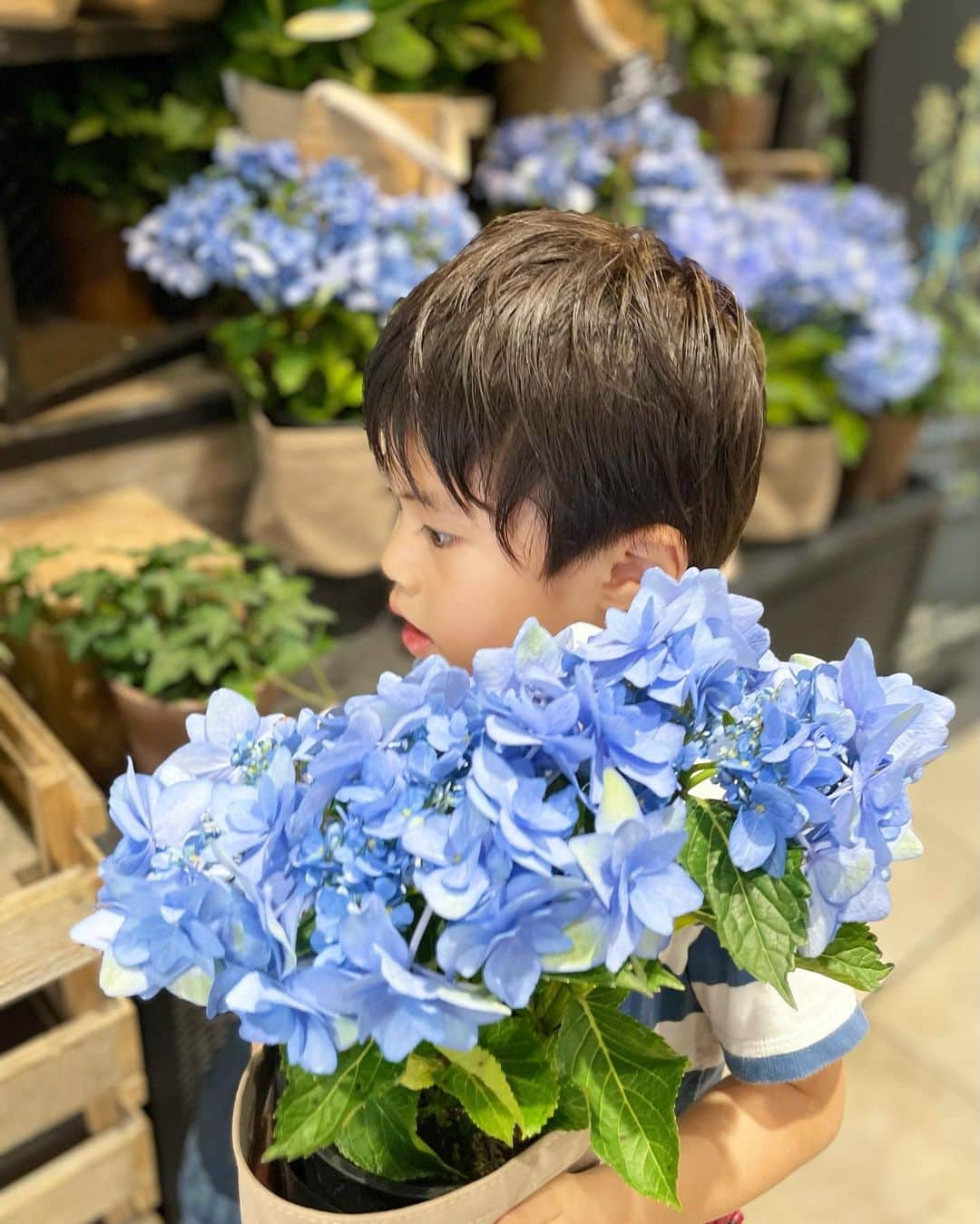 こままりえさんのインスタグラム写真 - (こままりえInstagram)「父の日💎 弟くんとまったりお花屋さんデート👦💐 お花屋さんはいつも娘ちゃんと行くのだけど 珍しく弟くんと一緒に😉  風邪が家族中でぐるぐると周り ようやく復活してきました💦 子供は結構すぐ治るのに 元々喉が弱い私は治りが悪く お熱は出ないもののずーっと咳が止まらず 咳喘息のようになっていて辛かった😢 長引きまくってようやく治ってきました😮‍💨 咳が出ると肩身狭い世の中です…🌐  みなさまもお大事に😷🩵 改めて体調管理しっかりしないとと思いました💦  #6月18日 #父の日 #父の日プレゼント #紫陽花 #アジサイ #青山フラワーマーケット #お花屋さん #お花屋さんデート #花屋デート #喉風邪 #咳が止まらない #咳喘息 #体調管理 #弟くんの成長記録 #4歳1ヶ月」6月19日 23時28分 - komamarie