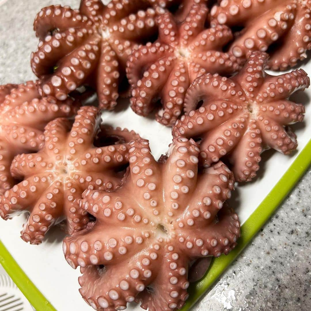 中城あすかさんのインスタグラム写真 - (中城あすかInstagram)「リベンジ真蛸釣り🐙  2年前初めてのタコ釣りがボウズで終わるという悲しい思いをしたのでまた挑戦しました！  今回は5杯釣れましたっ👏 その中の1杯は小さかったのでリリース！  一緒に行った友達と念願のタコパも出来て良かった✨  タコをこれでもかってくらい食べて大満足😋  美味しかった〜🩷  #真蛸 #真蛸釣り #蛸 #タコ釣り #タコ #タコエギ #リベンジタコ釣り #釣り #釣りガール #fishing #octopus #🐙」6月20日 1時12分 - asukanakajo