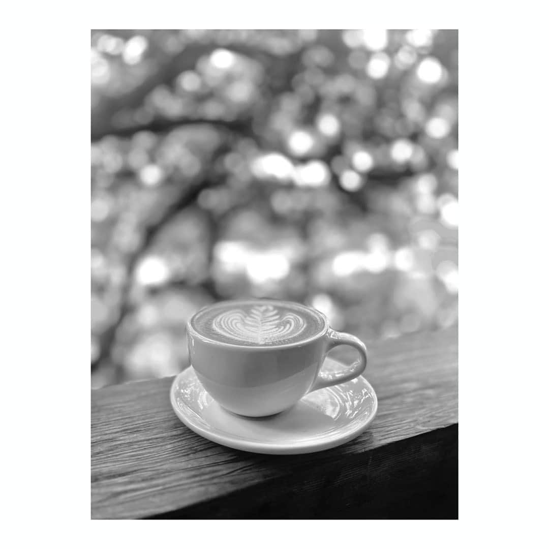宮本笑里のインスタグラム：「☕️  #tokyo #japan #coffeetime」