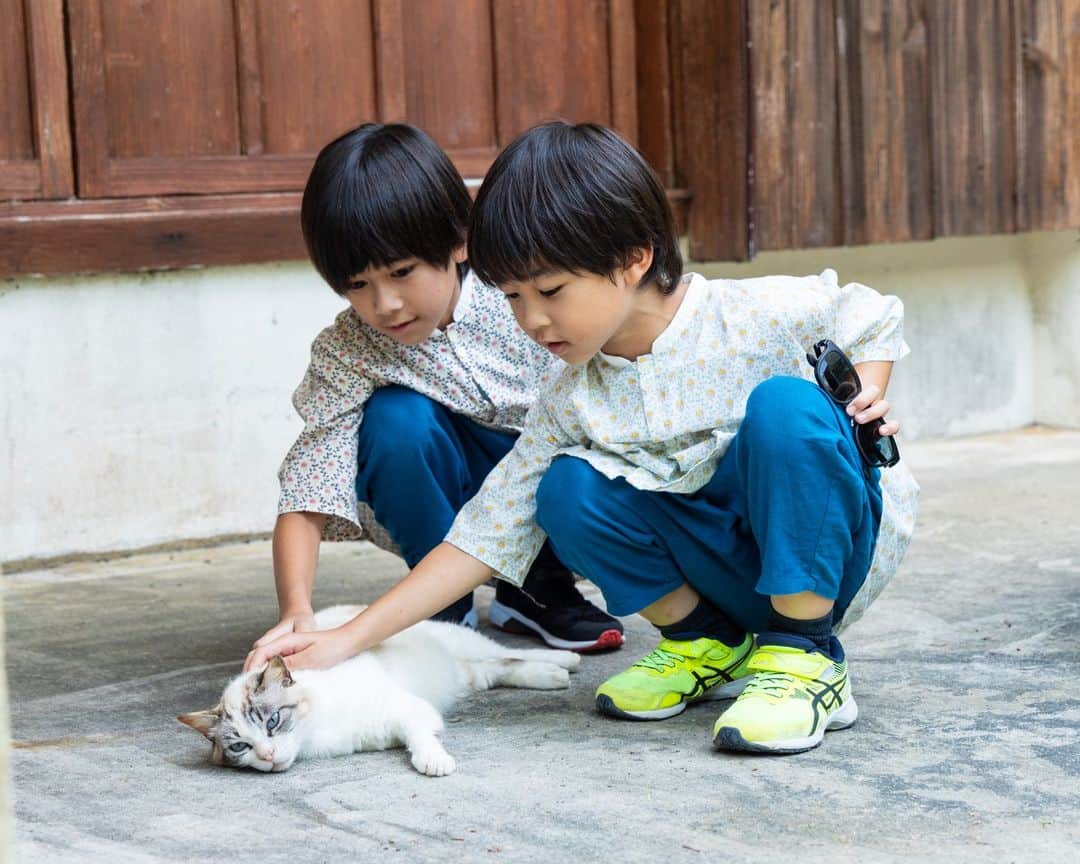 セソコマサユキさんのインスタグラム写真 - (セソコマサユキInstagram)「せっかく森のなかのおいしいお菓子屋さんに行ったのに、子どもたちは庭の猫とウシガエルに夢中だった件。  #沖縄 #移住 #子育て #やんばる #焼き菓子 #ヒムベーレ菓子店 #猫 #ウシガエル」6月20日 14時47分 - sesokomasayuki