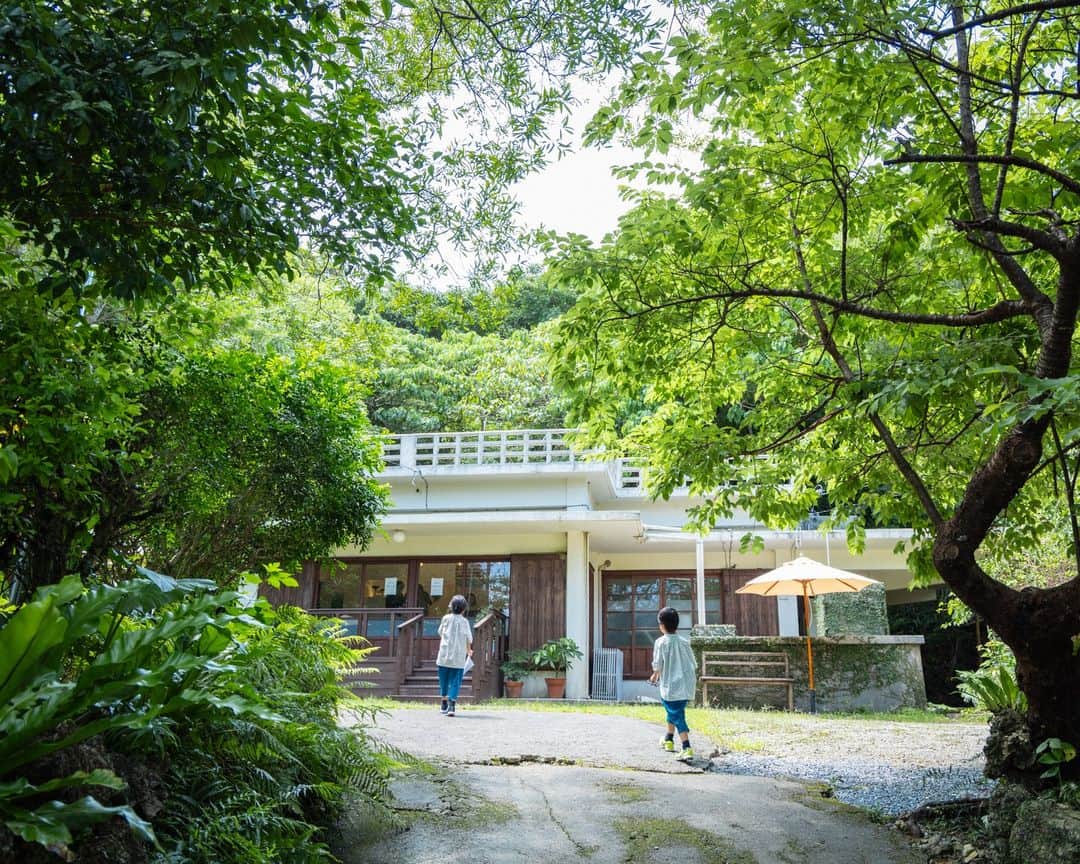 セソコマサユキのインスタグラム：「せっかく森のなかのおいしいお菓子屋さんに行ったのに、子どもたちは庭の猫とウシガエルに夢中だった件。  #沖縄 #移住 #子育て #やんばる #焼き菓子 #ヒムベーレ菓子店 #猫 #ウシガエル」