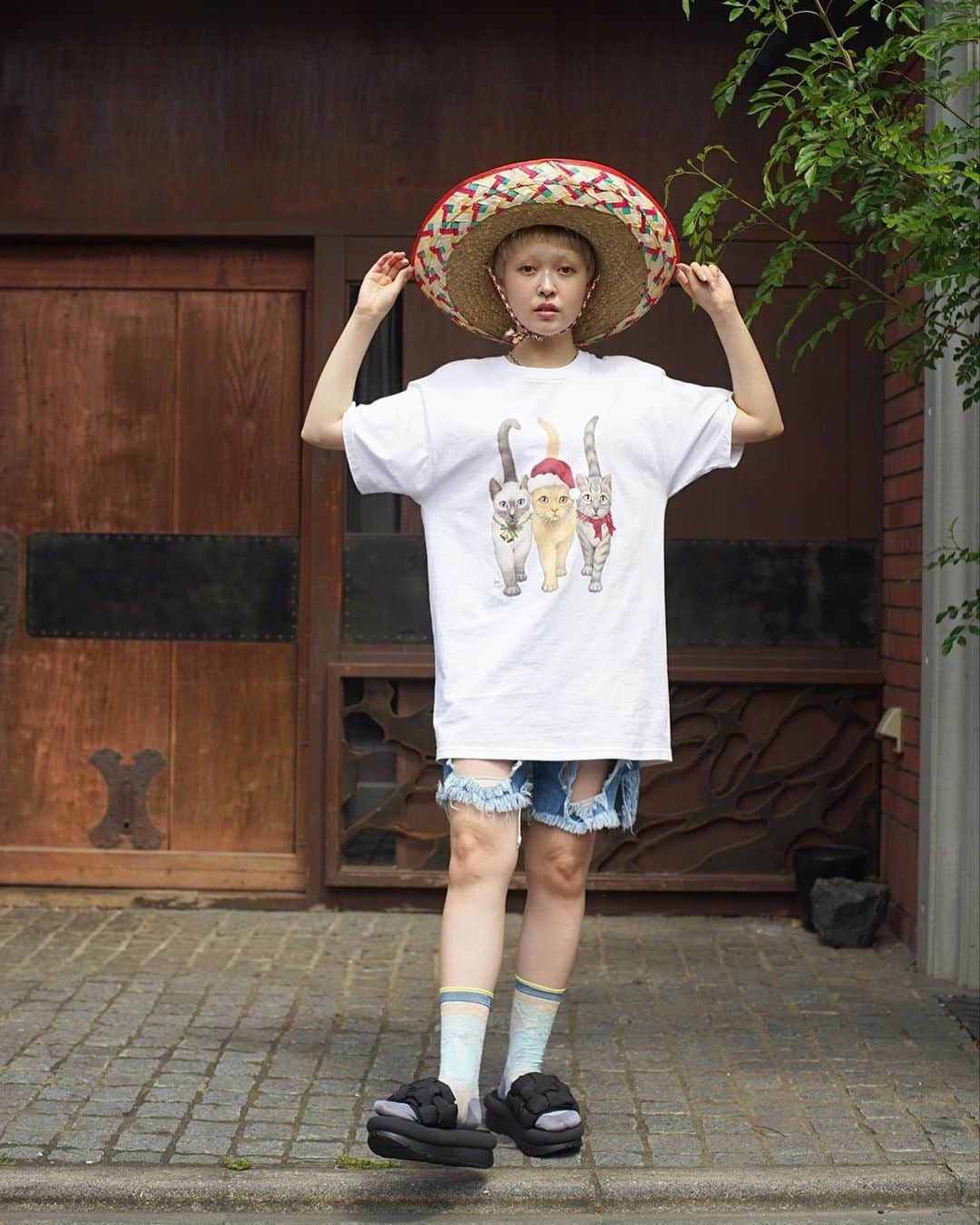 PUNK CAKEのインスタグラム：「🐈 NEW ARRIVAL 🐈 ☑︎ Three cats big T-shirts【SOLD】 ☑︎ Crash denim short pants【SOLD】  Now on sale ➡︎ ONLINE STORE   PUNK CAKE POP-UP  6/25(mon)-7/2(sun) 13:00-20:00   model / @momooka_koyoi」