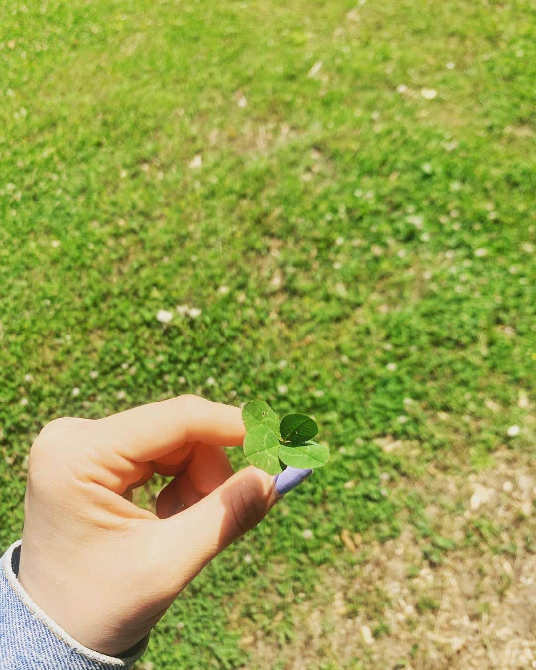 小松原美里さんのインスタグラム写真 - (小松原美里Instagram)「964  ᴅᴀʏs ᴛᴏ ᴍɪʟᴀɴᴏ ☼  Lucky charm found me🍀 It just jumped into my eyes. Not searched. 幸せの神様は前髪だけ  #チームココ」6月20日 7時00分 - missatoooo